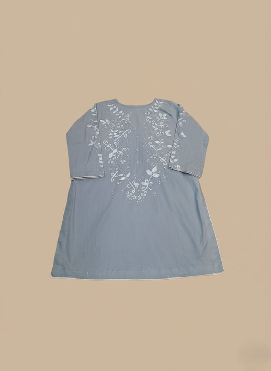 Hand-Painted Blue Kurta for Women – Embroidered 2-Piece Cotton Suit